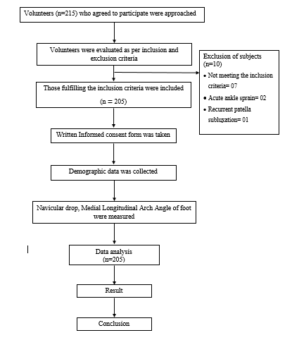 Diagram

Description automatically generated