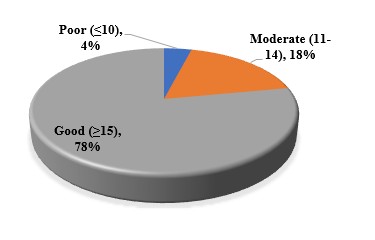 A pie chart with text on it

Description automatically generated