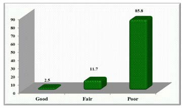 A graph showing a bar graph

Description automatically generated with medium confidence