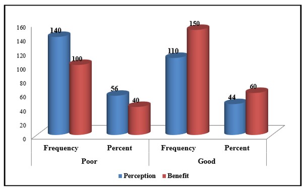 A graph of different colored columns

AI-generated content may be incorrect.