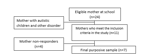 A diagram of a mother's disease

AI-generated content may be incorrect.