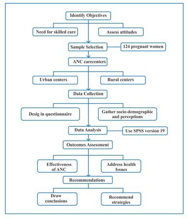 A diagram of a flowchart

AI-generated content may be incorrect.